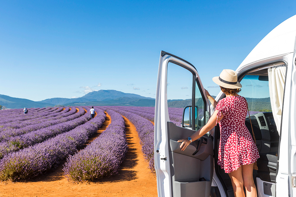 Women standing next to Talvor campervan looking at field of purple lavender
